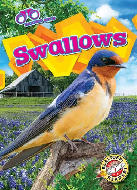 Swallows by Rachael Barnes