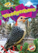 Woodpeckers by Rachael Barnes