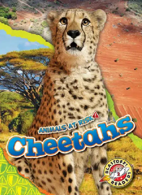 Cheetahs by Rachel Grack