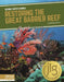 Restoring the Great Barrier Reef by Rachel Hamby