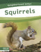 Squirrels by Martha London