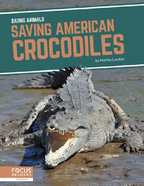 Saving American Crocodiles by Martha London