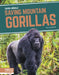 Saving Mountain Gorillas by Lisa Bullard