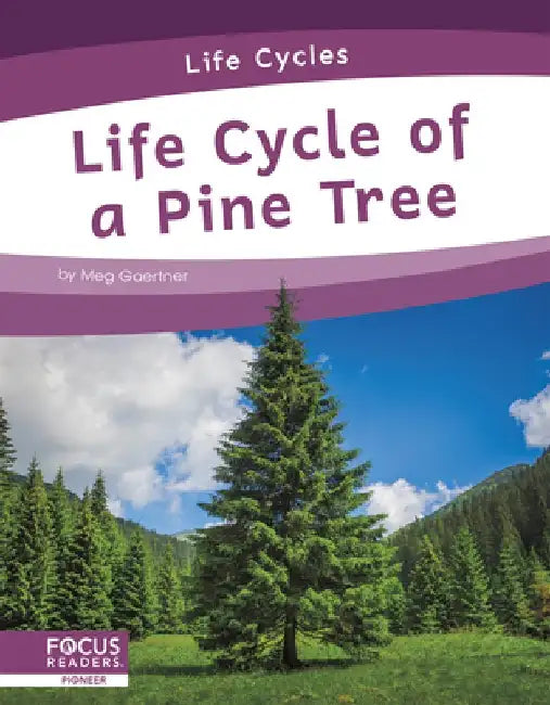 Life Cycle of a Pine Tree by Meg Gaertner
