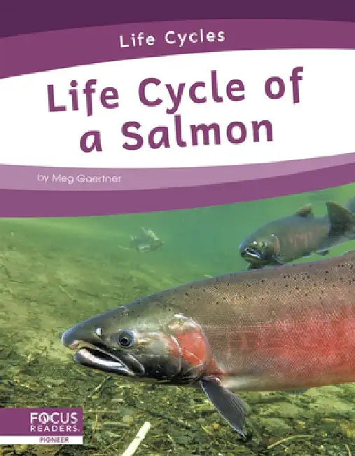 Life Cycle of a Salmon by Meg Gaertner