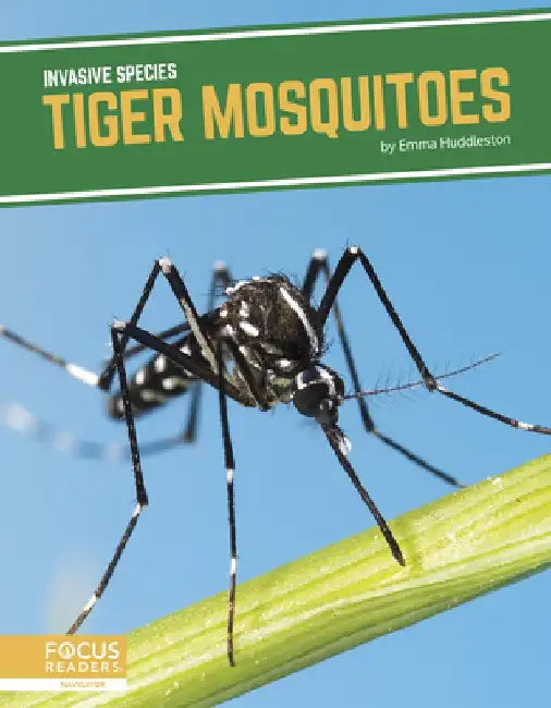 Tiger Mosquitoes by Emma Huddleston