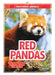 Red Pandas by Martha London