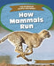 How Mammals Run by Emma Huddleston
