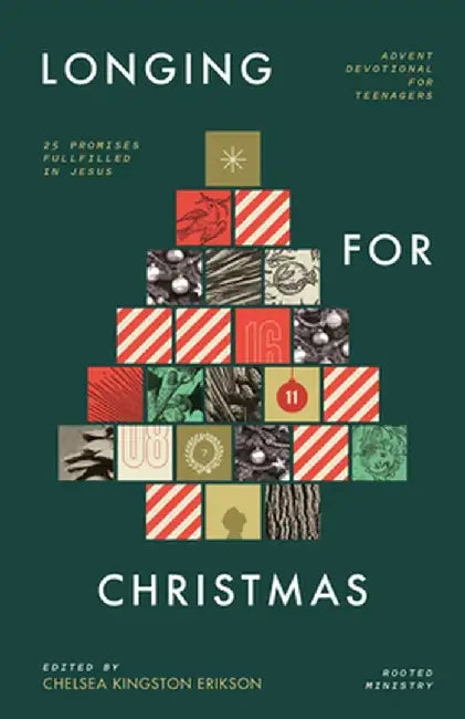 Longing for Christmas: 25 Promises Fulfilled in Jesus, Advent Devotional for Teenagers by Chelsea Kingston Erikson