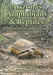 Arizona's Amphibians & Reptiles: A Natural History and Field Guide by John C. Murphy, René C. Clark, Lawrence L. C. Jones