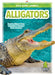 Alligators by Martha London