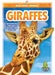 Giraffes by Emma Huddleston