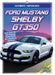 Ford Mustang Shelby Gt350 by Tammy Gagne