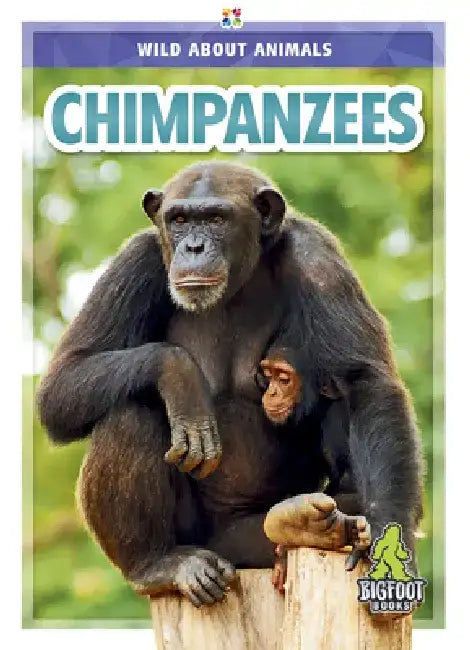 Chimpanzees by Colton Temple