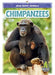 Chimpanzees by Colton Temple