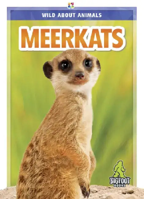 Meerkats by Rhonda E. Nichols