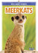 Meerkats by Rhonda E. Nichols
