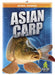 Asian Carp by Jody Jensen Shaffer