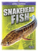 Snakehead Fish by Jody Jensen Shaffer
