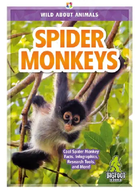 Spider Monkeys by Renata Marie