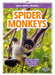 Spider Monkeys by Renata Marie
