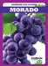 Morado (Purple) by Anna C. Peterson