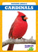 Cardinals by Genevieve Nilsen