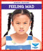 Feeling Mad by Bullis Amber Mlis