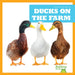 Ducks on the Farm by Bizzy Harris