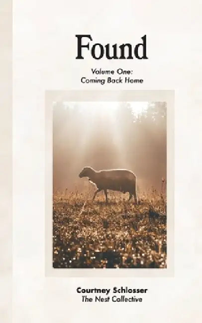 Found, Volume One: Coming Back Home by Courtney Schlosser