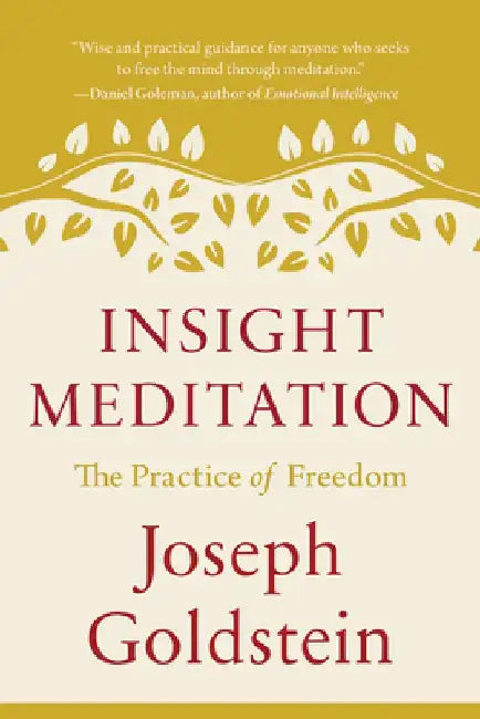 Insight Meditation: The Practice of Freedom by Joseph Goldstein