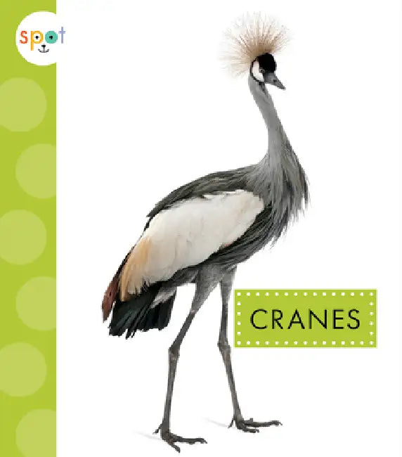Cranes by Lisa Amstutz