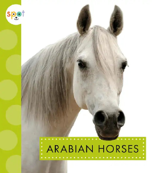Arabian Horses by Alissa Thielges