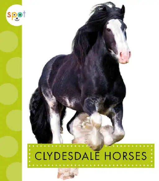 Clydesdale Horses by Alissa Thielges