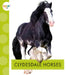 Clydesdale Horses by Alissa Thielges