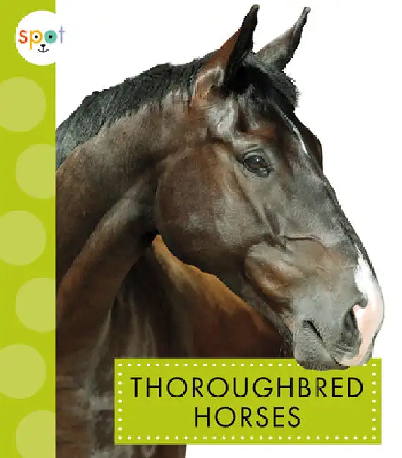 Thoroughbred Horses by Alissa Thielges