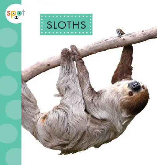Sloths by Alissa Thielges