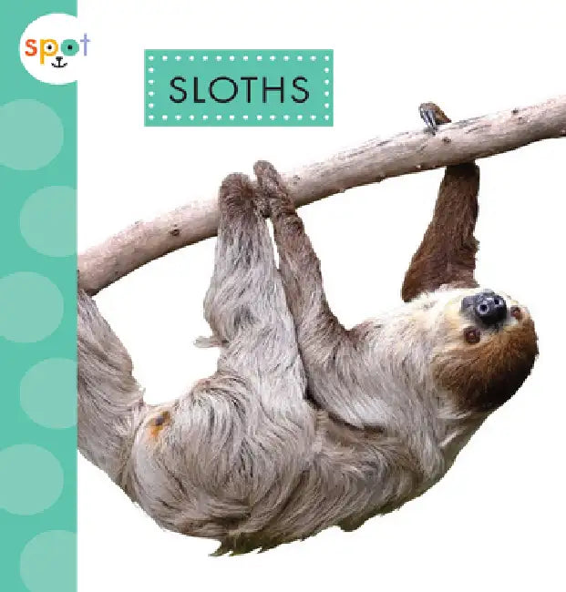 Sloths by Alissa Thielges