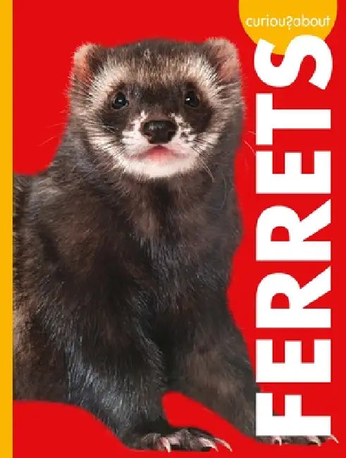 Curious about Ferrets by Alissa Thielges
