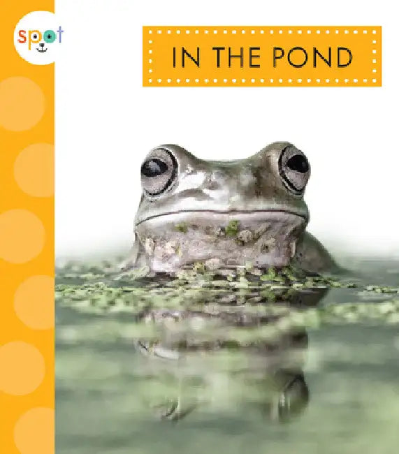 In the Pond by Alissa Thielges