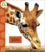 Zoo by Alissa Thielges