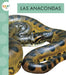 Las Anacondas by Alissa Thielges