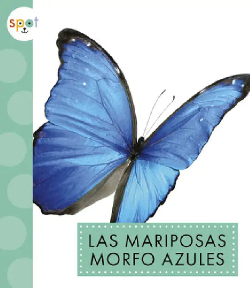 Las Mariposas Morfo Azules by Alissa Thielges