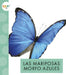 Las Mariposas Morfo Azules by Alissa Thielges