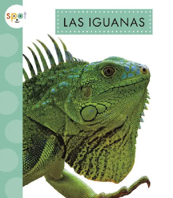 Las Iguanas by Alissa Thielges