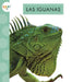 Las Iguanas by Alissa Thielges