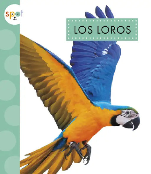 Los Loros by Alissa Thielges
