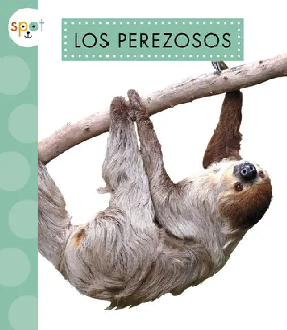 Los Perezosos by Alissa Thielges
