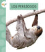 Los Perezosos by Alissa Thielges