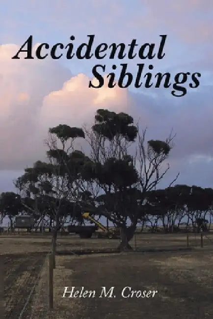 Accidental Siblings: Family Connections (New Edition) by Helen Croser